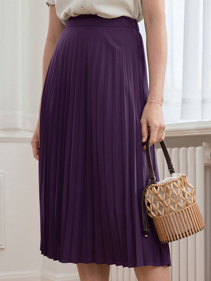 Daleyza 復古百褶深紫色半身裙